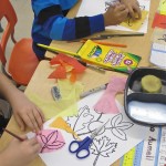 Carefully Placing the Leaves on Tissue