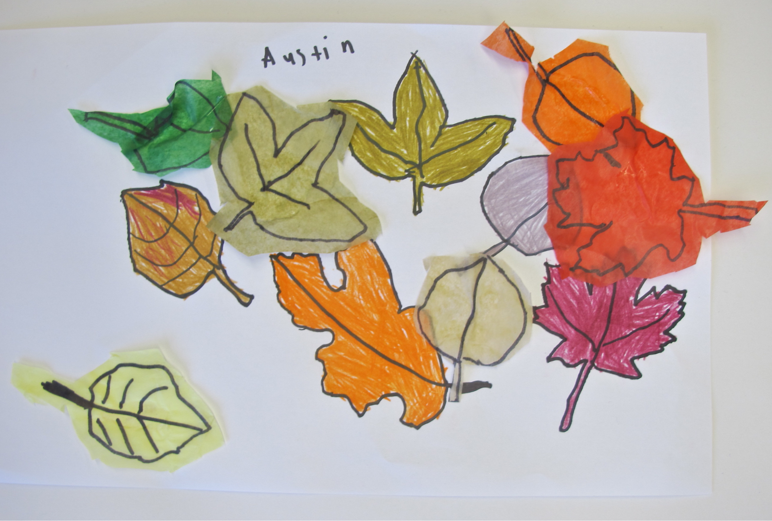 Fall leaves in tissue paper
