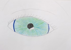 Drawing the Eye / gr. 6