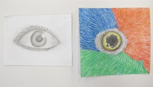Drawing the Eye, gr. 7