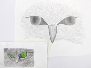 Drawing the Eye, pencil