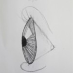 Drawing the Eye, gr.5