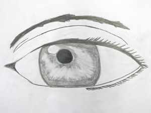 Drawing the Eye, gr. 6