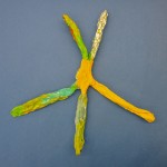 Starfish Art