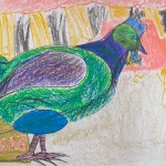 Animal Drawing Grade 5/6