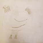 Drawing Animals Elementary School