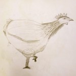 Chicken Drawings