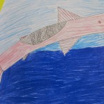 Fish Drawing / Grade 5