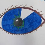 Drawing an Eye / Gr.6