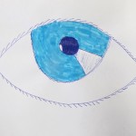 Drawing of an Eye / Gr. 6